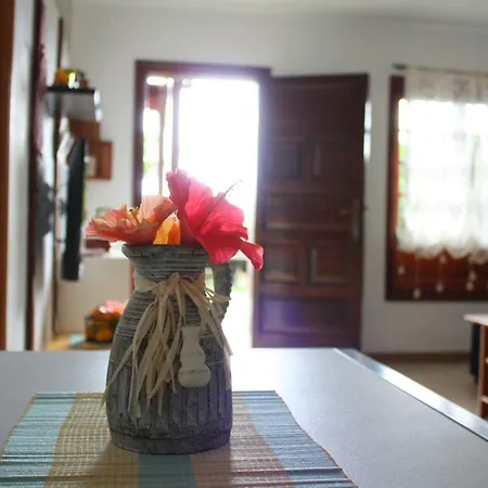 Apartment Con Jardin Y Pescina Puerto de la Cruz (Tenerife)